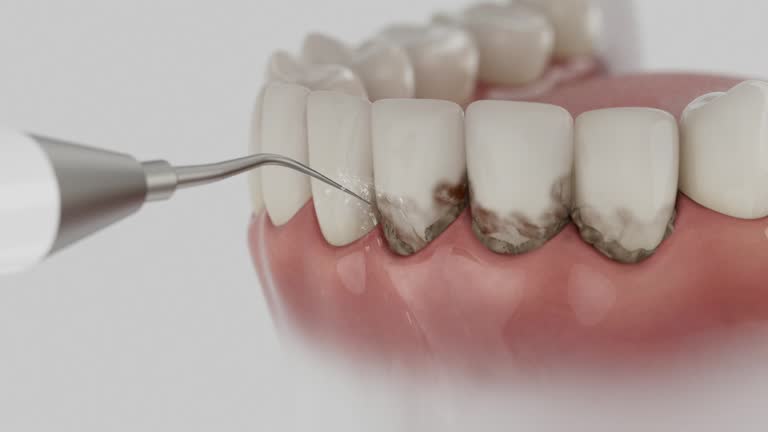 Reliable Dental contractor in Leavenworth, WA by Dentist Open Now